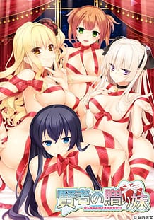 賢者の贈り妹: View Cover!