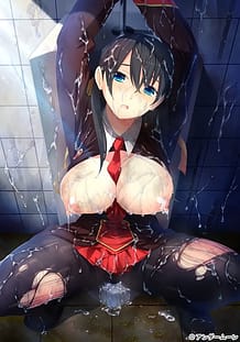お嬢様は学園の精液便所 ～寝取らせ・ぶっかけ・乱交生活日誌～: View Cover!