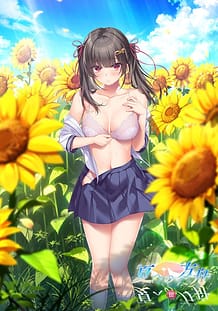 夏への方舟Ⅲ: View Cover!