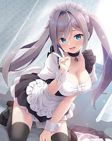 メイドちゃんは迷途ちゅう: View Cover!