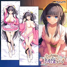 小日向柚月と初夜したいっ！～けもみみ神様と湯けむり恋模様～: View Cover!