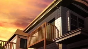 Video - Episode 01