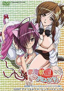 家庭教師のおねえさん THE ANIMATION~Hの偏差値あげちゃいます~ LESSON.2: View Cover!